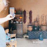 感受人从众的白鹿原