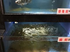 -岭南海晏楼(东晓南店)