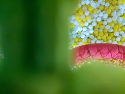 点击看大图 -宝燕乐园(闵行旗舰店)