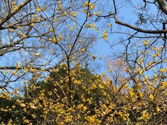 -狼山风景名胜区