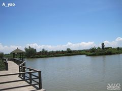 -大湾区中央湿地公园
