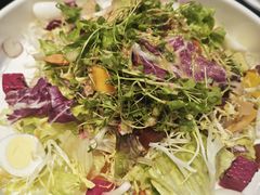 -紫光园·烤鸭·北京菜(团结湖店)