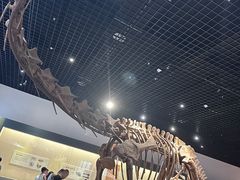 -衢州市博物馆