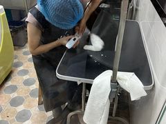 -乐琪宠物医院·犬猫专科·骨外科·急重症
