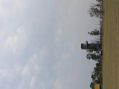 -春花秋色城市公园