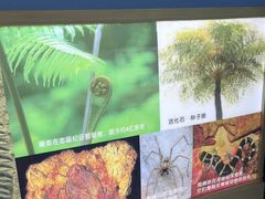 -上海昆虫博物馆