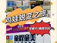 -童程童美信奥赛科技特长·乐高编程科创机器人(富兴校区)