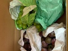 -马陆小张葡萄园农家乐