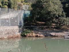 -宁波野生动物园