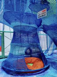 -反弹蹦床公园·亲子乐园·团建·派对(尚品奥莱店)