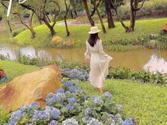 -人民公园(罗湖区)