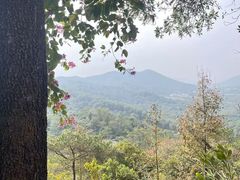 -风云岭森林公园