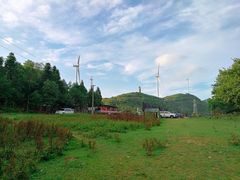 -齐岳山