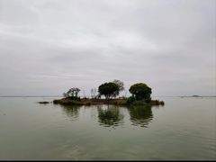-微山湖红荷湿地景区