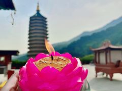 -八大处公园