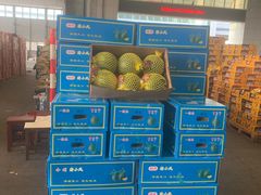 -西郊国际农产品交易中心