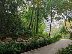 -成都市活水公园
