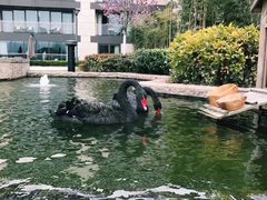 -行者书屋大堂吧 ·下午茶(南京圣和府邸酒店)