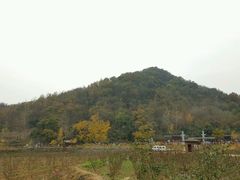 -千年银杏谷文化旅游区