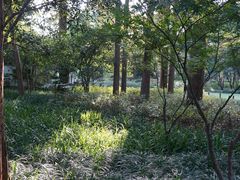 -杭州西湖风景名胜区-章太炎纪念馆