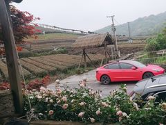 -听风阁农家私房菜茶楼(龙坞店)