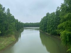 -上海海湾国家森林公园