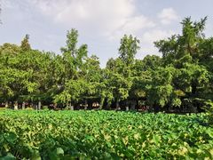 -四川大学(华西校区)