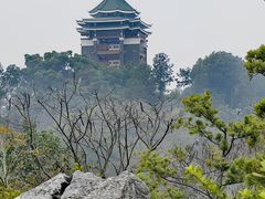 -王借岗森林公园