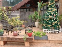 -一棵树·意大利西餐厅One Tree(新城店)