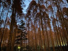 -河南省黄河迎宾馆