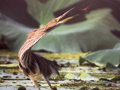 -德基艺术博物馆