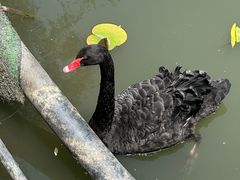 -长兴太湖图影湿地文化园
