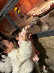 -酷嗒动物文化乐园(cutezoo西溪乐天城店)