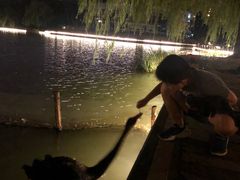 -金桥现代产业园区-停车场