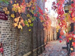 -卧龙堡客栈·中餐厅(古北水镇店)