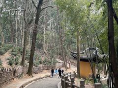 -灵岩山风景区