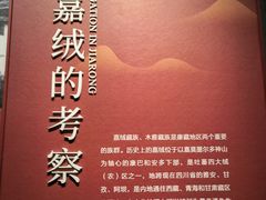 -四川大学博物馆