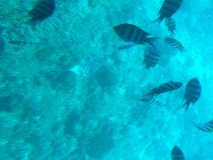 -亚龙湾海底世界