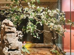 -北京宴(华贸购物中心店)