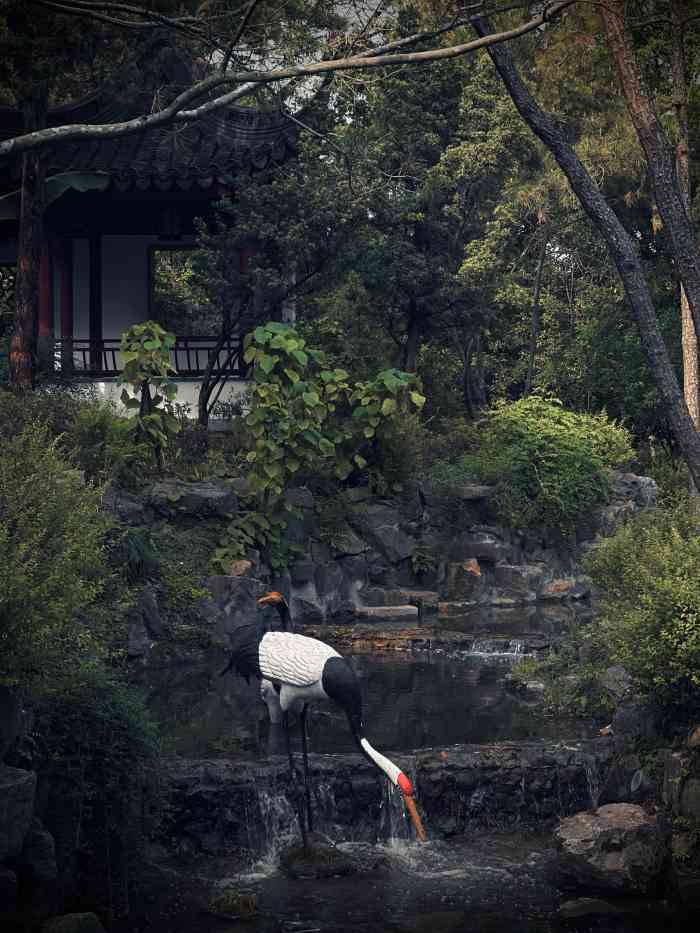 上海古猗園-