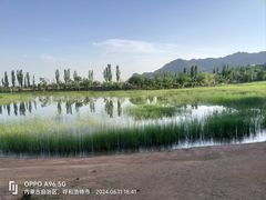 -乌素图国家森林公园