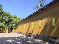-西园寺素食(西园弄戒幢律寺店)