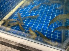 -深海聚汇·牛榴宴·自助料理(江宁万达店)