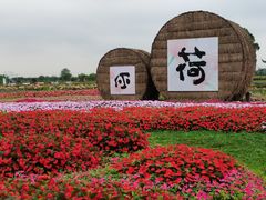 -嘉北郊野公园