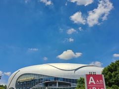 -宝能国际体育演艺中心