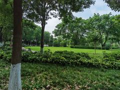 -眉山湿地公园(东坡区)