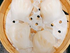 -高第街56号港式餐厅·精选(世茂广场宽厚里大明湖店)