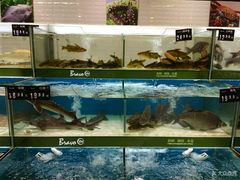 -永辉超市(红旗街万达广场店)