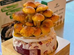 多脂鳞伞-烹然四季椰子鸡火锅(团结湖总店)