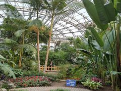 -北京植物园-展览温室